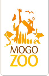 Mogo Zoo - Accommodation Directory
