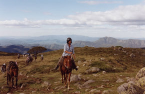 High Country Horses - Accommodation Directory