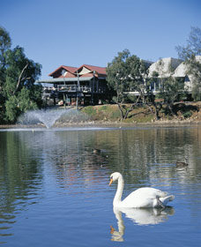 White Swans - Accommodation Directory