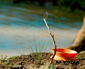 Charleville - Mangalore Warrego River Fishing Spot - Accommodation Directory