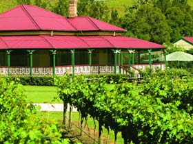 OReillys Canungra Valley Vineyards - Accommodation Directory