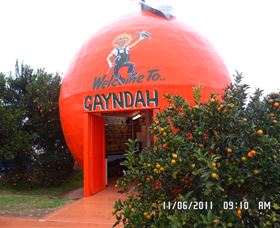 Gayndahs Big Orange - Accommodation Directory