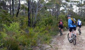 McMahon's Point ride - Wentworth Falls - Accommodation Directory