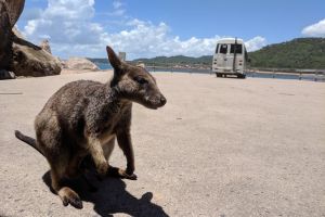 Magnetic Island Tour Maggie Comprehensive - Accommodation Directory