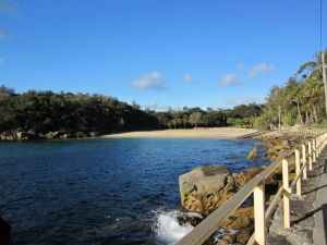 Shelly Beach Manly - Accommodation Directory